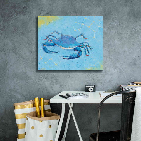 Image of 'Blue Crab V' by Phyllis Adams, Canvas Wall Art,24 x 20