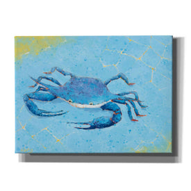 'Blue Crab V' by Phyllis Adams, Canvas Wall Art