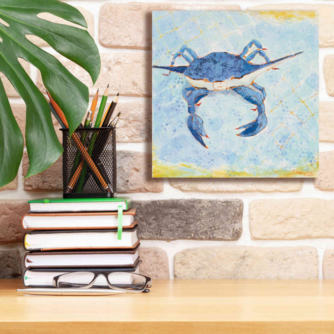 Image of 'Blue Crab VI' by Phyllis Adams, Canvas Wall Art,12 x 12