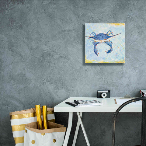 Image of 'Blue Crab VI' by Phyllis Adams, Canvas Wall Art,12 x 12