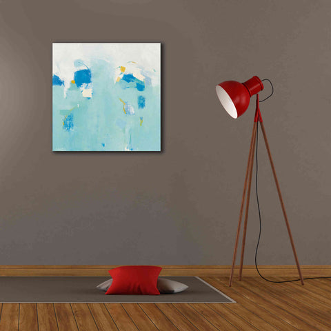 Image of 'Splash' by Phyllis Adams, Canvas Wall Art,26 x 26