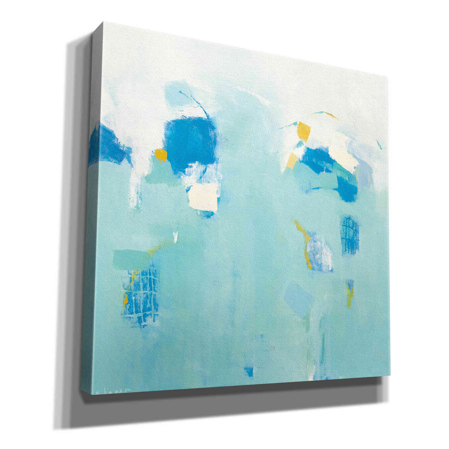 'Splash' by Phyllis Adams, Canvas Wall Art