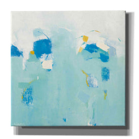 'Splash' by Phyllis Adams, Canvas Wall Art