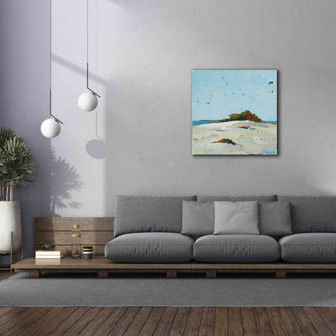 Image of 'Fall Dune' by Phyllis Adams, Canvas Wall Art,37 x 37