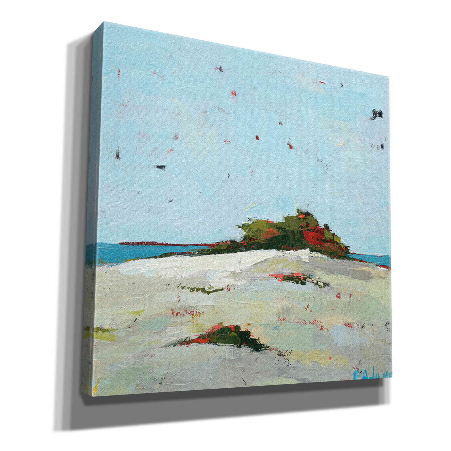 'Fall Dune' by Phyllis Adams, Canvas Wall Art