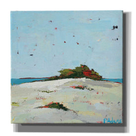'Fall Dune' by Phyllis Adams, Canvas Wall Art