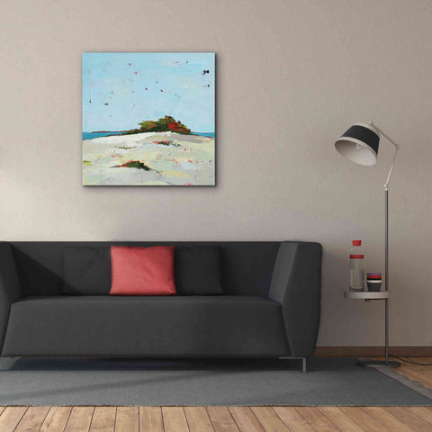 Image of 'Splash Pink' by Phyllis Adams, Canvas Wall Art,37 x 37