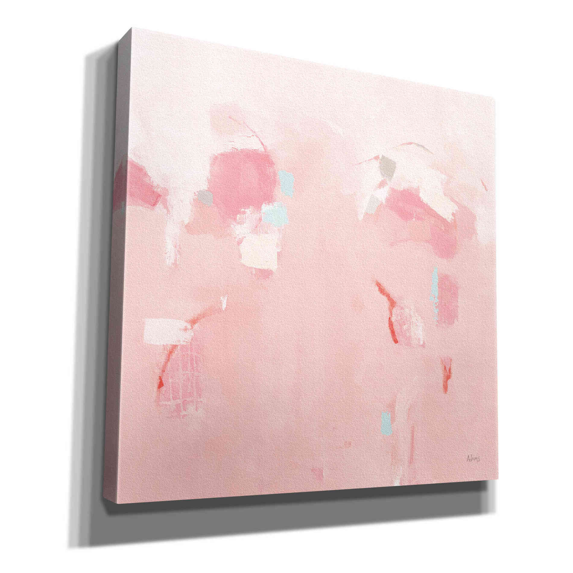 'Splash Pink' by Phyllis Adams, Canvas Wall Art