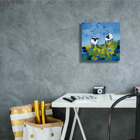 Image of 'Two Sheep' by Phyllis Adams, Canvas Wall Art,12 x 12