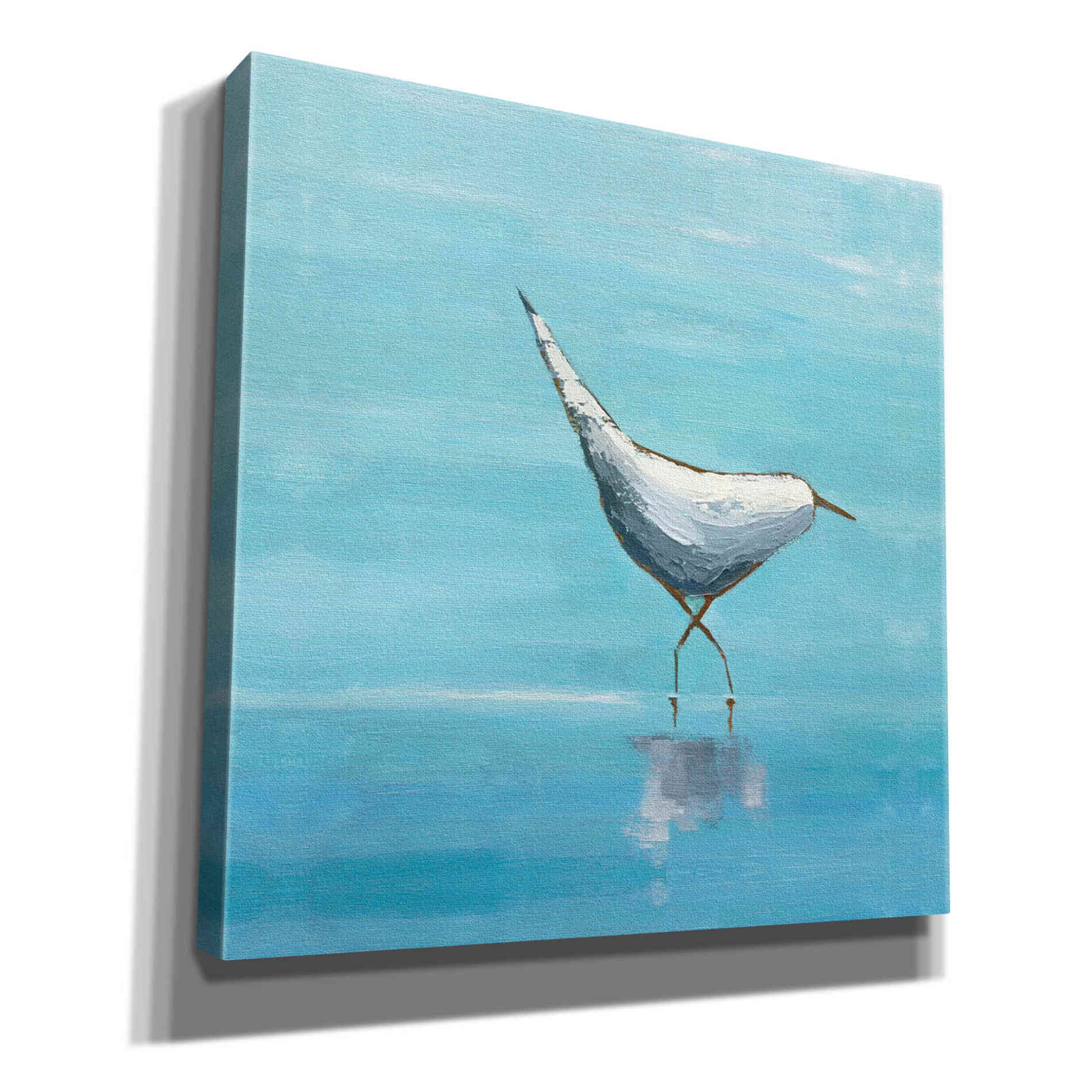 'Egret I Bright' by Phyllis Adams, Canvas Wall Art