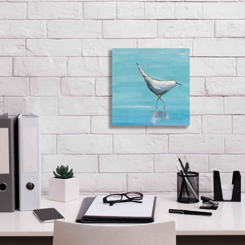 Image of 'The Strutter on White' by Phyllis Adams, Canvas Wall Art,12 x 12