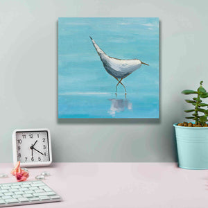 'The Strutter on White' by Phyllis Adams, Canvas Wall Art,12 x 12