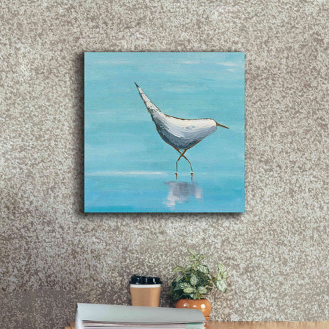 Image of 'The Strutter on White' by Phyllis Adams, Canvas Wall Art,18 x 18