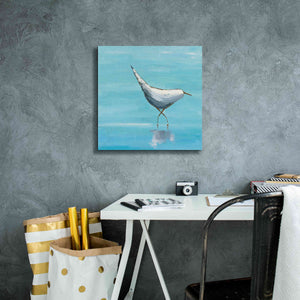 'The Strutter on White' by Phyllis Adams, Canvas Wall Art,18 x 18