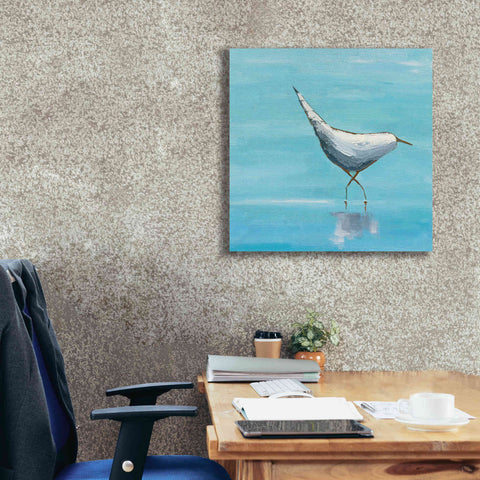 Image of 'The Strutter on White' by Phyllis Adams, Canvas Wall Art,26 x 26