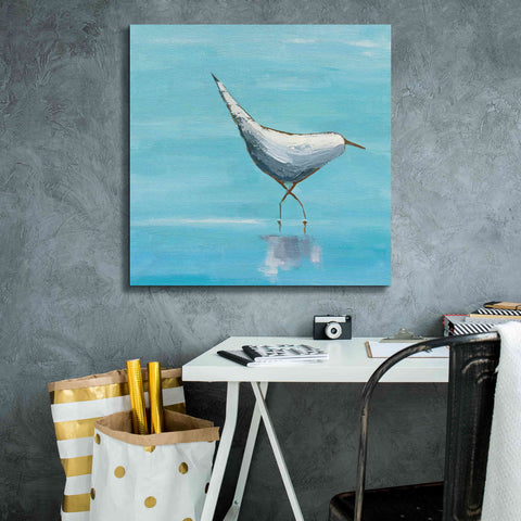 Image of 'The Strutter on White' by Phyllis Adams, Canvas Wall Art,26 x 26