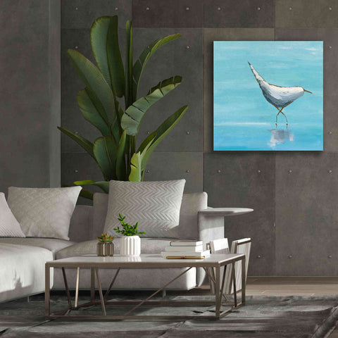 Image of 'The Strutter on White' by Phyllis Adams, Canvas Wall Art,37 x 37