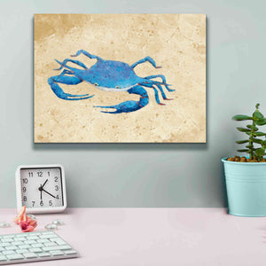 'Blue Crab V Neutral Crop' by Phyllis Adams, Canvas Wall Art,16 x 12