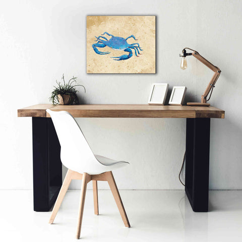 Image of 'Blue Crab V Neutral Crop' by Phyllis Adams, Canvas Wall Art,24 x 20
