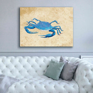 'Blue Crab V Neutral Crop' by Phyllis Adams, Canvas Wall Art,54 x 40