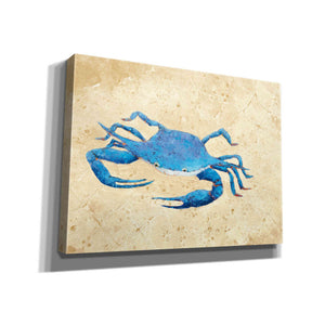'Blue Crab V Neutral Crop' by Phyllis Adams, Canvas Wall Art