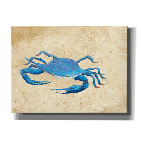 Image of 'Blue Crab V Neutral Crop' by Phyllis Adams, Canvas Wall Art