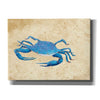 'Blue Crab V Neutral Crop' by Phyllis Adams, Canvas Wall Art