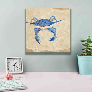 'Blue Crab VI Neutral' by Phyllis Adams, Canvas Wall Art,12 x 12