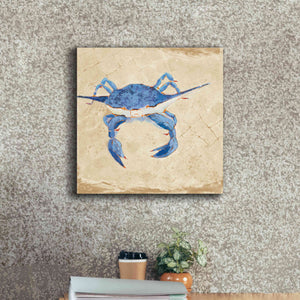 'Blue Crab VI Neutral' by Phyllis Adams, Canvas Wall Art,18 x 18