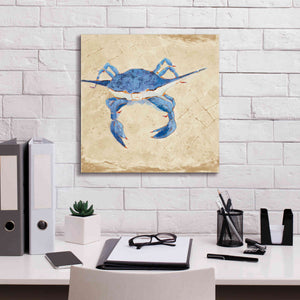 'Blue Crab VI Neutral' by Phyllis Adams, Canvas Wall Art,18 x 18