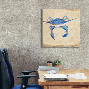 'Blue Crab VI Neutral' by Phyllis Adams, Canvas Wall Art,26 x 26