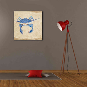 'Blue Crab VI Neutral' by Phyllis Adams, Canvas Wall Art,26 x 26