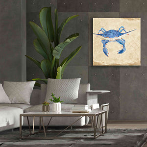 'Blue Crab VI Neutral' by Phyllis Adams, Canvas Wall Art,37 x 37