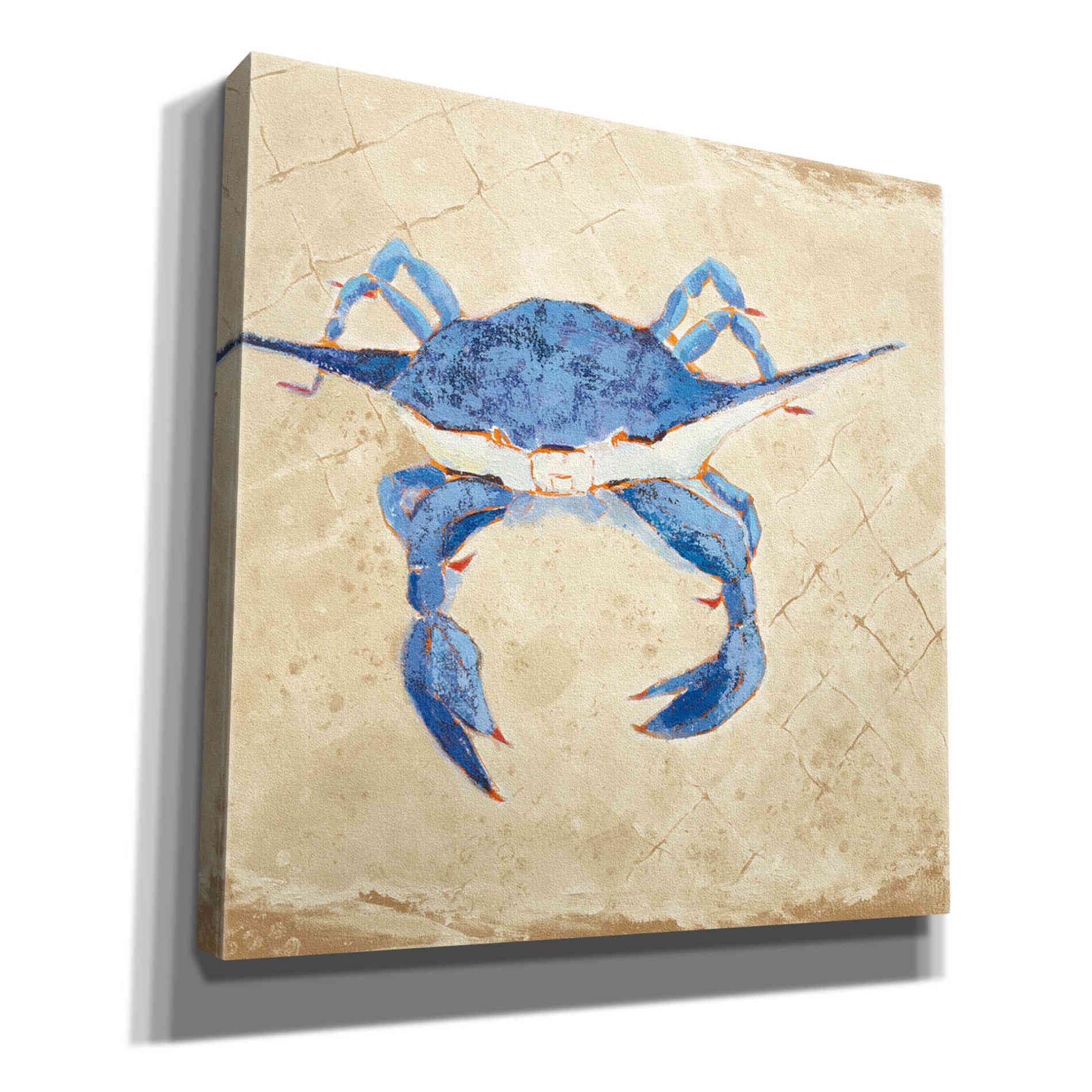 'Blue Crab VI Neutral' by Phyllis Adams, Canvas Wall Art