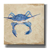'Blue Crab VI Neutral' by Phyllis Adams, Canvas Wall Art