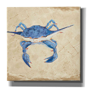 'Blue Crab VI Neutral' by Phyllis Adams, Canvas Wall Art