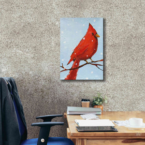 'Cardinal I' by Phyllis Adams, Canvas Wall Art,18 x 26