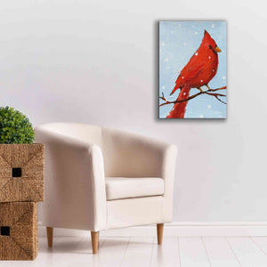 'Cardinal I' by Phyllis Adams, Canvas Wall Art,18 x 26