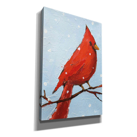 Image of 'Cardinal I' by Phyllis Adams, Canvas Wall Art