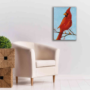 'Cardinal II' by Phyllis Adams, Canvas Wall Art,18 x 26