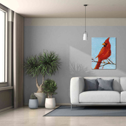 Image of 'Cardinal II' by Phyllis Adams, Canvas Wall Art,26 x 34