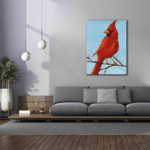 'Cardinal II' by Phyllis Adams, Canvas Wall Art,40 x 54