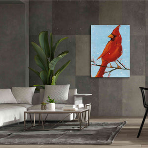 'Cardinal II' by Phyllis Adams, Canvas Wall Art,40 x 54