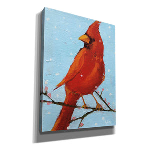 'Cardinal II' by Phyllis Adams, Canvas Wall Art