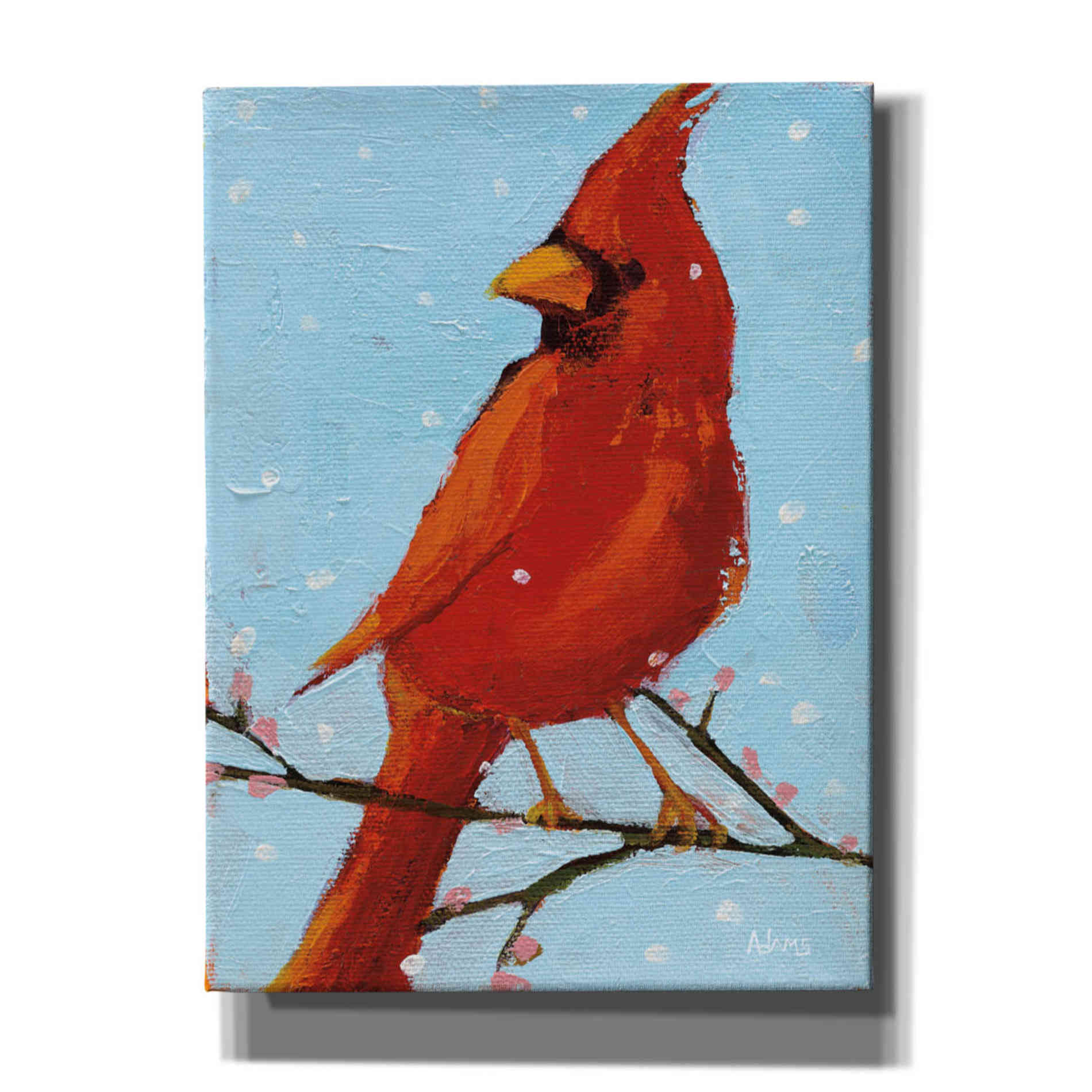 'Cardinal II' by Phyllis Adams, Canvas Wall Art