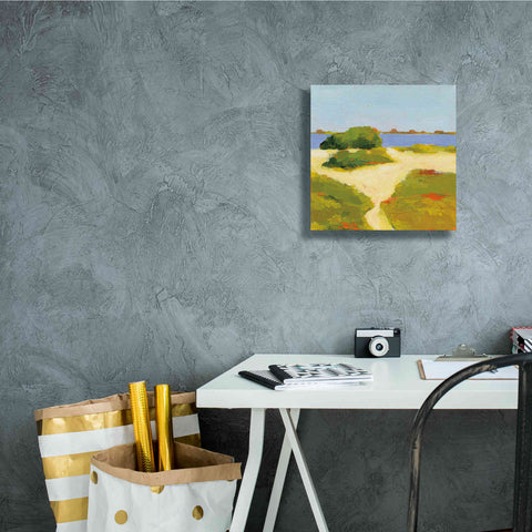 Image of 'Path to the Beach' by Phyllis Adams, Canvas Wall Art,12 x 12
