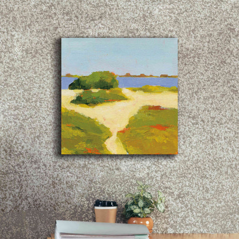 Image of 'Path to the Beach' by Phyllis Adams, Canvas Wall Art,18 x 18