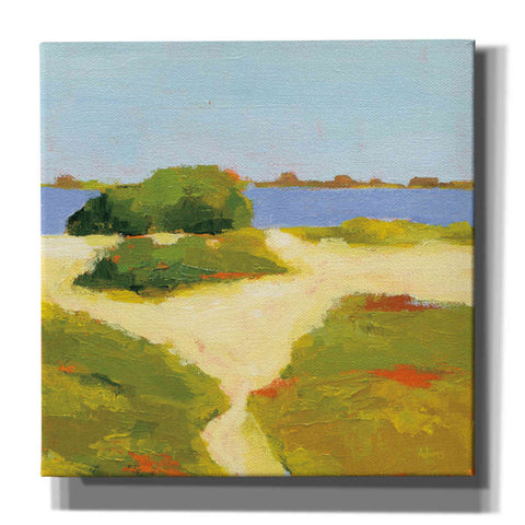 Image of 'Path to the Beach' by Phyllis Adams, Canvas Wall Art