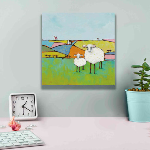Image of 'Sheep in the Meadow II' by Phyllis Adams, Canvas Wall Art,12 x 12