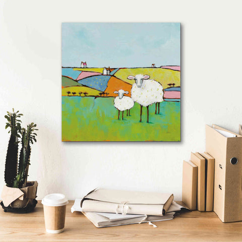 Image of 'Sheep in the Meadow II' by Phyllis Adams, Canvas Wall Art,18 x 18